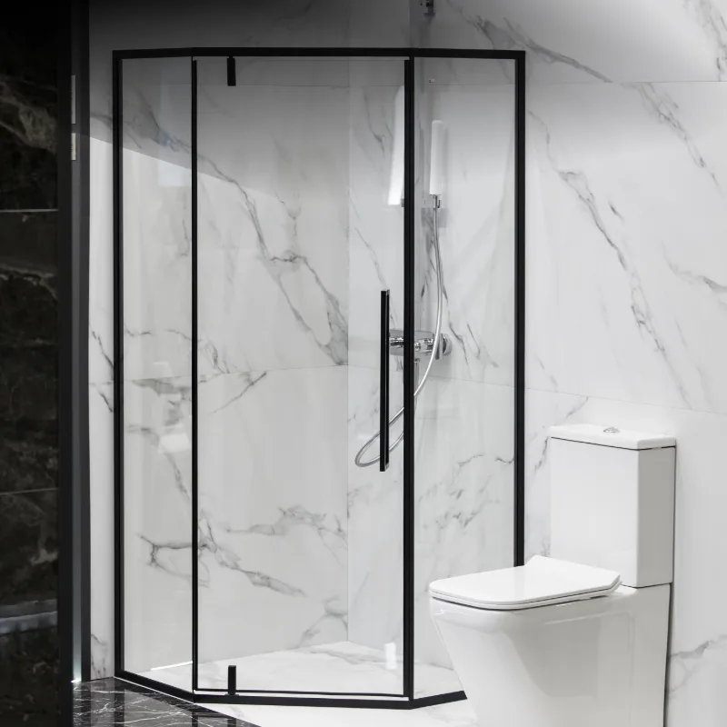 Luxury bathroom shower glass — premium black profile